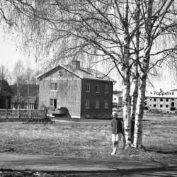 Lomtjärnsgatan år 1952