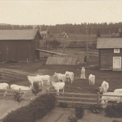 Bild från Sten Öbergs gård någon gång1920 talet,