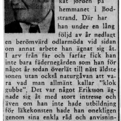 Johan Eriksson 1871-1961 Bodstrand