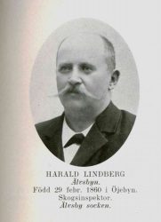 Lindberg Harald Älvsbyn