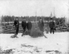 Älg jakt i Stockfors 1899